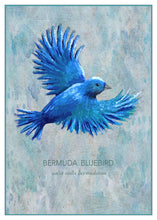 Art Prints