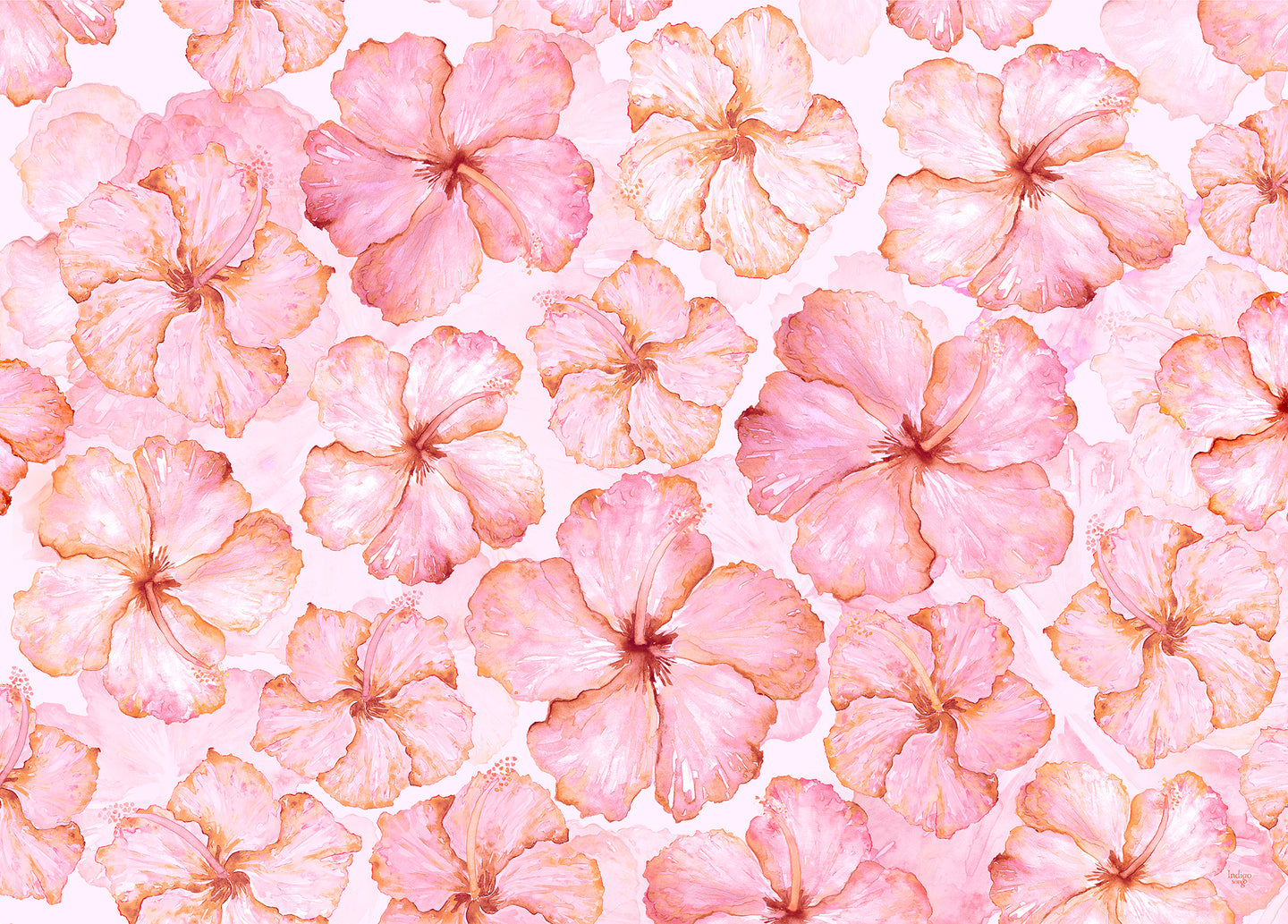 2023 Sarong - Happy Hibiscus - Blush